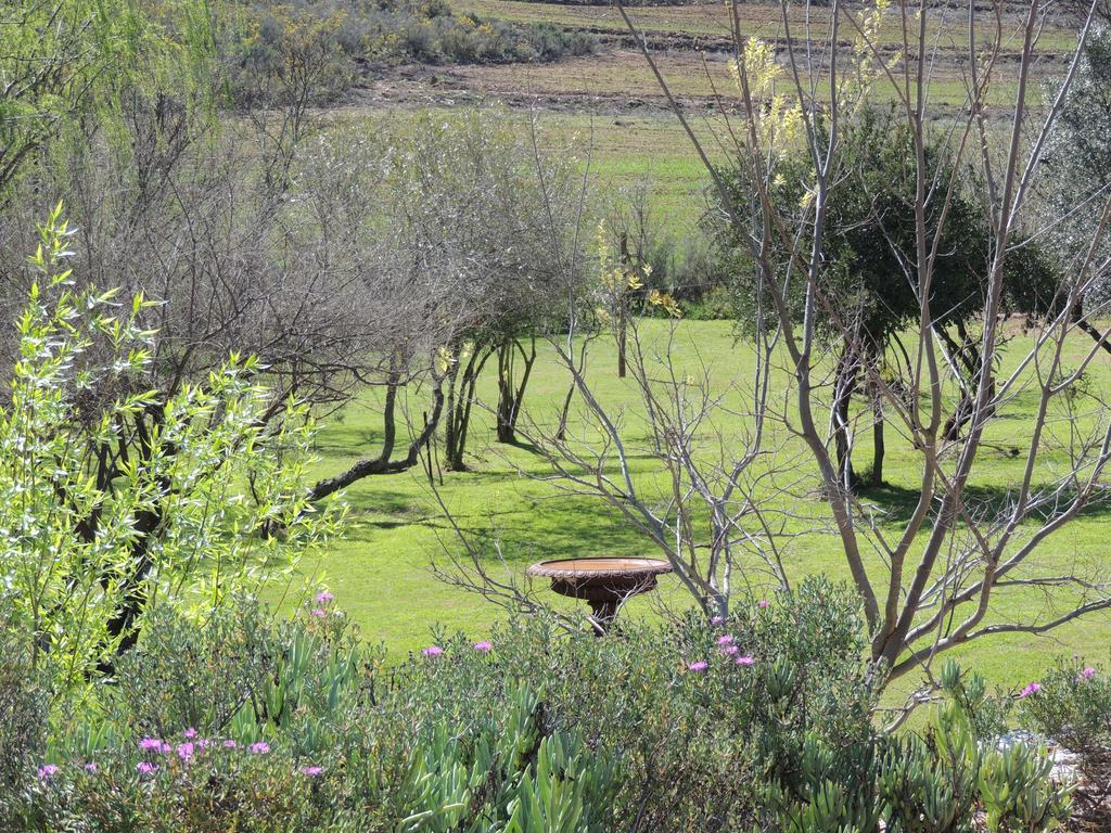 De Cango Oudtshoorn Exterior photo
